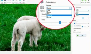 Program do usuwania szumu na zdjęciach. Widać opcję "Reduce blurring" z wyborem "Medium" i suwak "Detail".