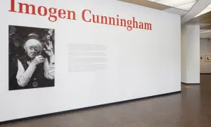 Wystawa poświęcona twórczości Imogen Cunningham. Na ścianie portret artystki i tekst informacyjny.