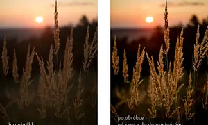 Dwa ujęcia trawy podczas złotej godziny w fotografii. Po obróbce kolory stały się cieplejsze, podkreślając piękno zachodzącego słońca.