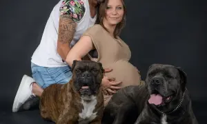 Szczęśliwa przyszła mama i partner na sesji ciążowej z psem. Dwa psy, bokser i mastif, towarzyszą im w radosnym oczekiwaniu.
