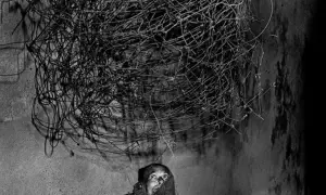 Osoba spogląda w górę na splątaną masę drutu, charakterystyczną dla stylu roger ballen.