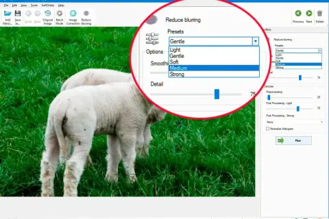 Program do usuwania szumu na zdjęciach. Widać opcję "Reduce blurring" z wyborem "Medium" i suwak "Detail".