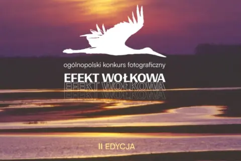 Ogólnopolski konkurs fotograficzny "Efekt Wołkowa" II edycja. Sylwetka ptaka na tle zachodzącego słońca nad wodą.