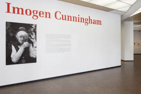 Wystawa poświęcona twórczości Imogen Cunningham. Na ścianie portret artystki i tekst informacyjny.
