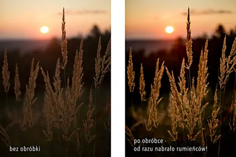 Dwa ujęcia trawy podczas złotej godziny w fotografii. Po obróbce kolory stały się cieplejsze, podkreślając piękno zachodzącego słońca.