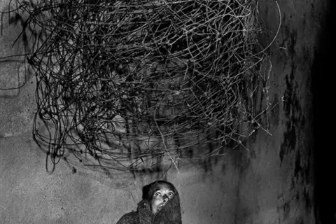 Osoba spogląda w górę na splątaną masę drutu, charakterystyczną dla stylu roger ballen.
