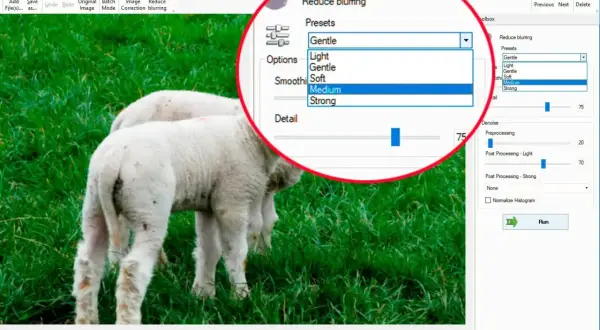 Program do usuwania szumu na zdjęciach. Widać opcję "Reduce blurring" z wyborem "Medium" i suwak "Detail".