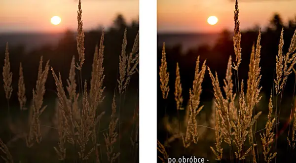 Dwa ujęcia trawy podczas złotej godziny w fotografii. Po obróbce kolory stały się cieplejsze, podkreślając piękno zachodzącego słońca.