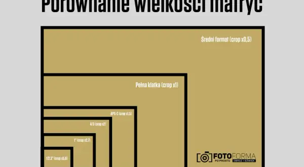 Porównanie wielkości matryc aparatów: od średniego formatu po 1/2,3". Każda matryca ma inny crop.