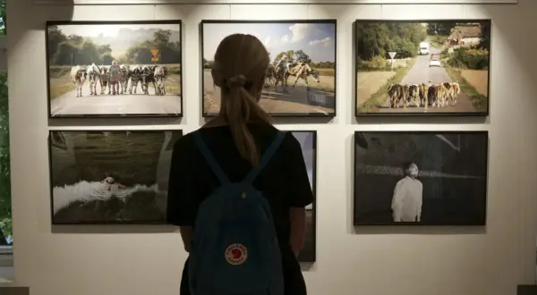 Kobieta ogląda prace na konkursie fotograficznym dla amatorów. Widać krowy na drodze i czarno-białe zdjęcie.