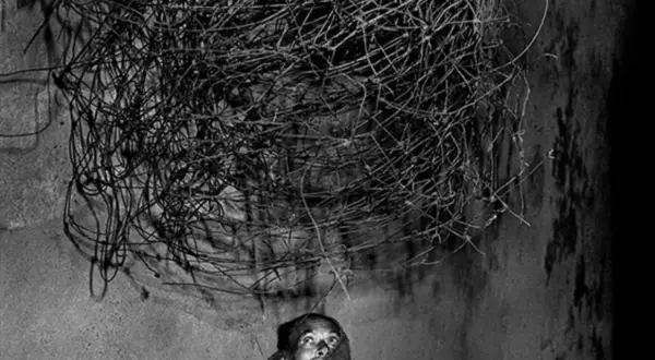 Osoba spogląda w górę na splątaną masę drutu, charakterystyczną dla stylu roger ballen.
