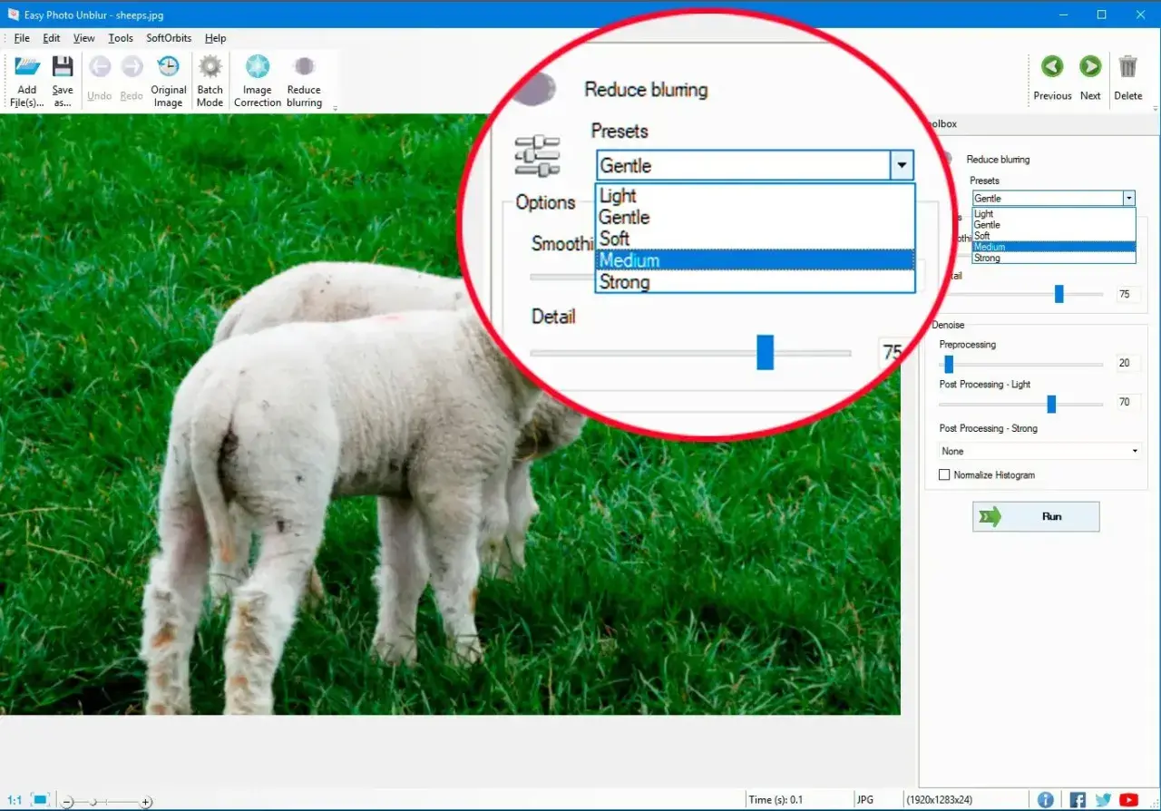Program do usuwania szumu na zdjęciach. Widać opcję "Reduce blurring" z wyborem "Medium" i suwak "Detail".