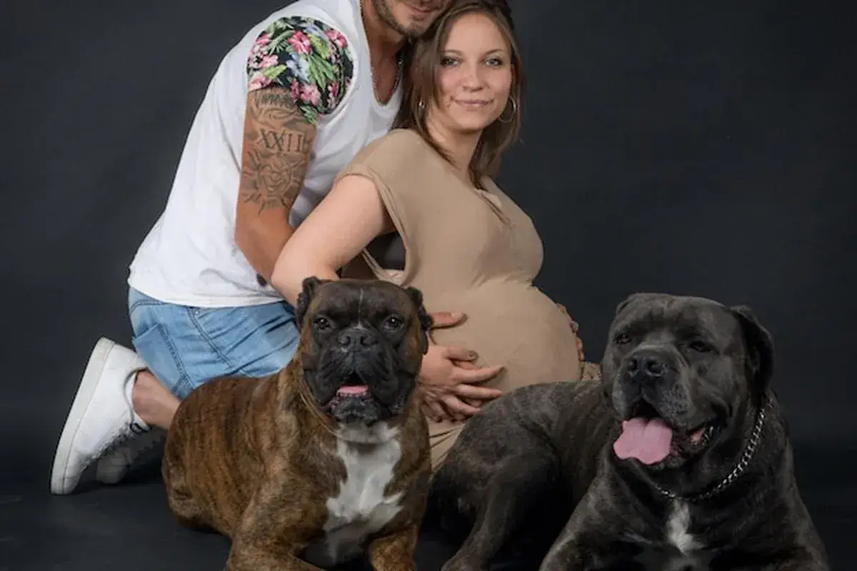 Szczęśliwa przyszła mama i partner pozują do sesji ciążowej z dwoma psami.