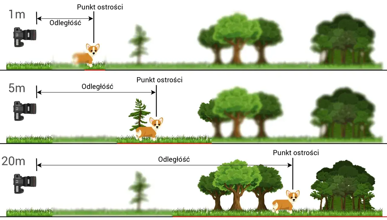 Ilustracja pokazuje, jak zmienia się głębia obrazu w zależności od odległości od obiektu. Corgi jest ostry na 1m, lekko rozmyty na 5m, a na 20m jest już niewyraźny.