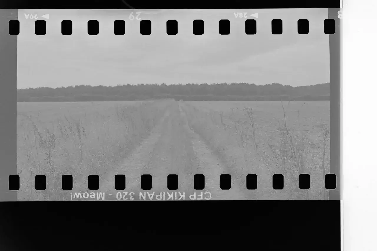 Obraz fotograficzny na błonie światłoczułej. Droga przez pole, w tle las. Napis 