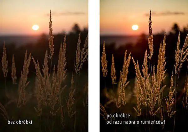 Dwa ujęcia trawy podczas złotej godziny w fotografii. Po obróbce kolory stały się cieplejsze, podkreślając piękno zachodzącego słońca.