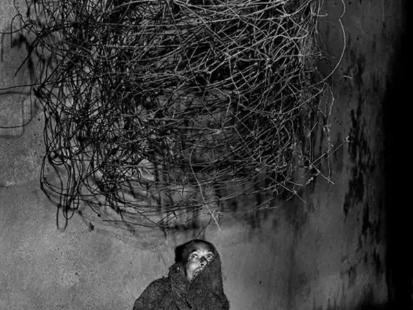 Osoba spogląda w górę na splątaną masę drutu, charakterystyczną dla stylu roger ballen.