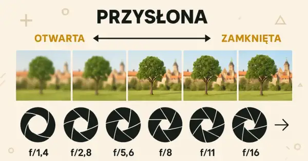 Ilustracja pokazuje, jak preselekcja przysłony wpływa na głębię ostrości. Od otwartej (f/1,4) do zamkniętej (f/16), tło staje się coraz bardziej ostre.